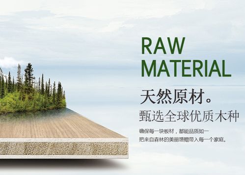 環(huán)保創(chuàng)新雙驅(qū)動(dòng)，天山板材書寫發(fā)展輝煌新篇